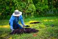 Mulching Benefits: What Happens Underground and Why It Changes How Your Garden Grows