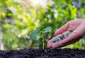 Organic Liquid vs. Granular Fertilizer: Which One Fits Your Garden