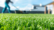 Organic vs Chemical Lawn Fertilizer: What Builds a Better Lawn?