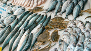 Seaweed Fertilizer vs Fish Emulsion: Which Ocean Feed Wins?