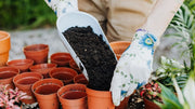 Is Organic NPK Fertilizer Right for Your Garden?