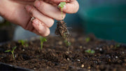 Why Might Soils Rich in Organic Matter Not Be Fertile? Here's the Missing Piece