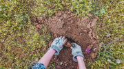 No Till Soil: Your Complete Guide to Healthier Garden Beds