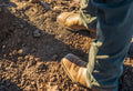 A Step-by-Step Guide to Poor Soil Transformation