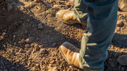 A Step-by-Step Guide to Poor Soil Transformation