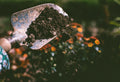 What Are Soil Enzymes and Why Your Garden Needs Them
