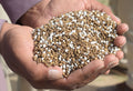 Natural vs Chemical Fertilizer: An Honest Comparison