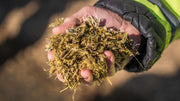 Fish Emulsion vs Chicken Manure: Which Organic Fertilizer Works Best?