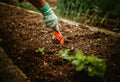 Soil Aeration: How to Fix Compacted Garden Soil Fast