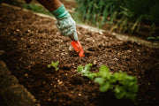 Soil Aeration: How to Fix Compacted Garden Soil Fast