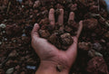 Soil Minerals The Complete Guide to Feeding Your Garden from the Ground Up