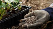 Specialty vs General Fertilizer: Which One Your Soil Needs