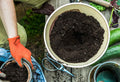 Understanding Your Soil Ecosystem and Why It Helps Plants Thrive