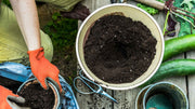 Understanding Your Soil Ecosystem and Why It Helps Plants Thrive
