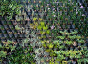 Vertical Gardening: How to Grow More in Less Space
