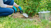 Water-Soluble vs. Granular Fertilizer: Which One Fits Your Garden