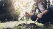 Why Soil Biodiversity Quietly Runs Your Whole Garden