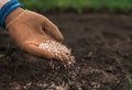 Concentrated vs. Diluted Fertilizer: Which One Should You Use?