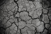 The Complete Guide to Soil Improvement for Home Gardens