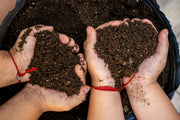 Building Soil Fertility Without Chemicals