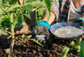 Single vs. Multi-Nutrient Fertilizer: Which One Does Your Soil Need?