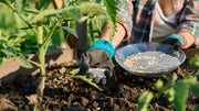 Single vs. Multi-Nutrient Fertilizer: Which One Does Your Soil Need?