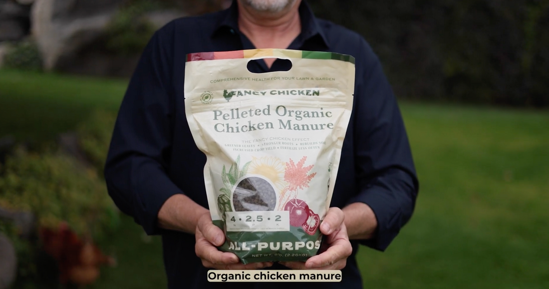 Fancy Chicken Manure Fertilizer